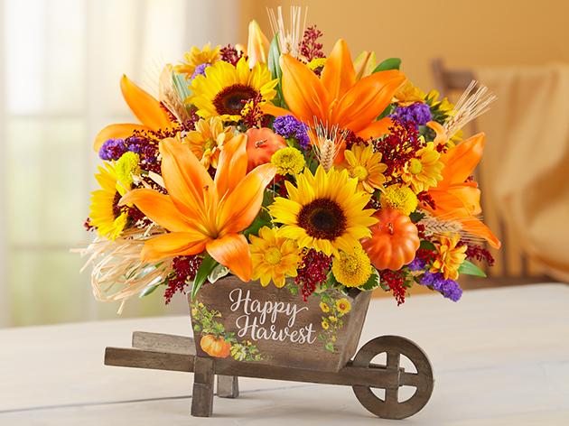 1800 Flowers Coupon Code February 2024